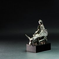 Beautiful girl on the bull